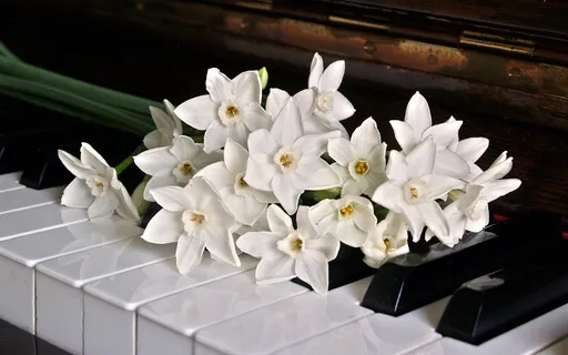 Piano For Dreams: 2hrs Of Music For Sleep And Contemplation