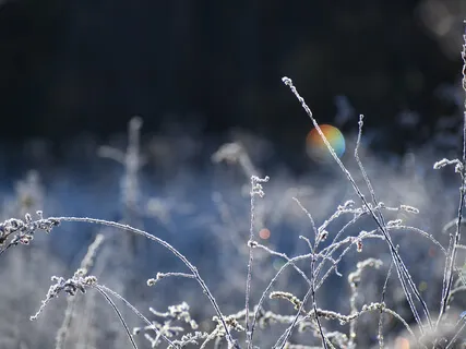 Piano For Emotional Release