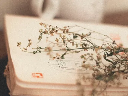 Piano For Old Books - Book 2