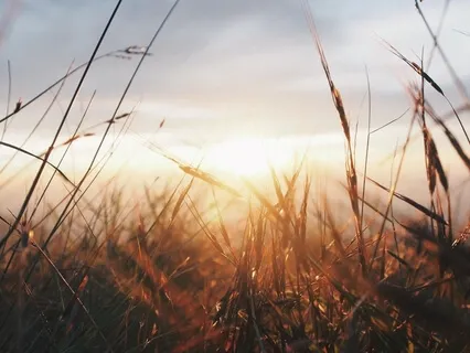 Inner Peace (Live Healing Piano October 13th)