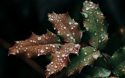 Piano Improv With Gentle Rain