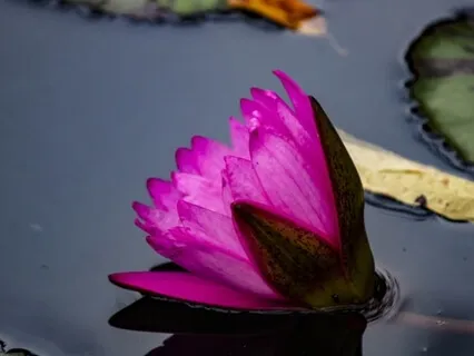 Piano Improvisation 112318