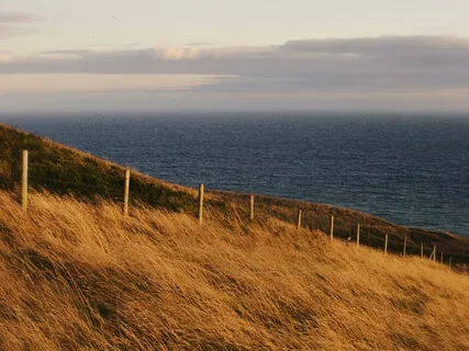 Piano Improvisation  ( For My Parents )