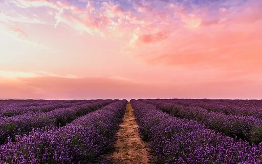 Piano Live (21 Of Jan ) - I Am In Love