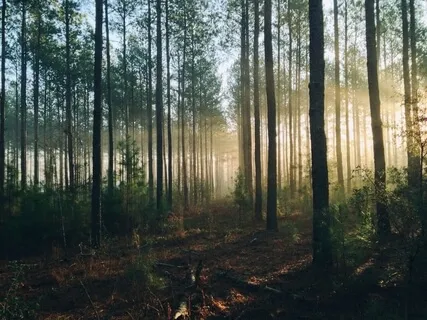 Piano Meditation 129