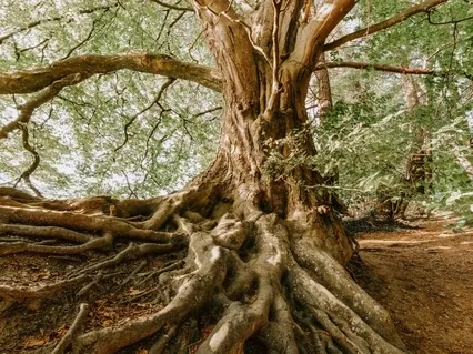 Piano Meditation 130