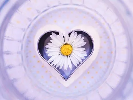 Piano Meditation Escape Into Serenity