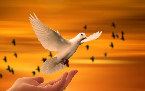 Piano Meditation For Peace