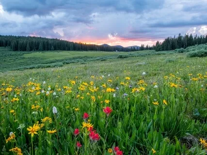 Piano Meditation Live Session - April | 21 | 2021