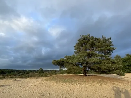 Piano Meditation Live Session - August | 21 | 2021