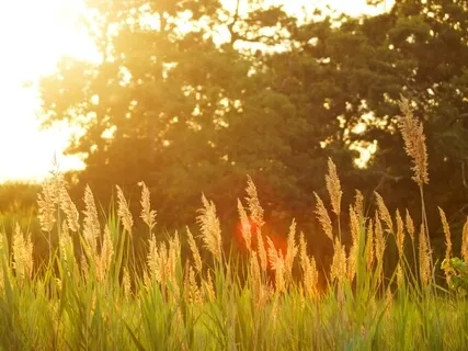 Piano Meditation Live Session - June | 8 | 2021