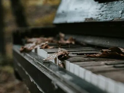 Piano Meditation - With Nature Sounds
