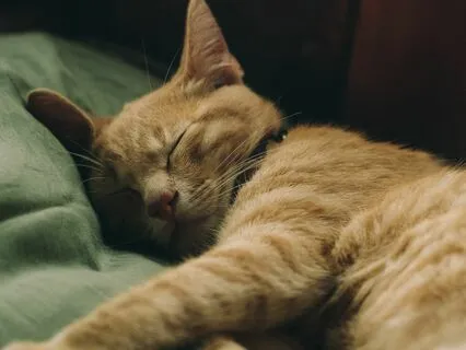 Piano Meditations I/V | Ultimate Sleep Serenity & Relaxation