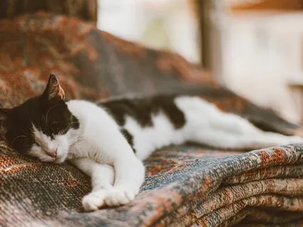 Piano Meditations IV/V | Ultimate Sleep Serenity Relaxation