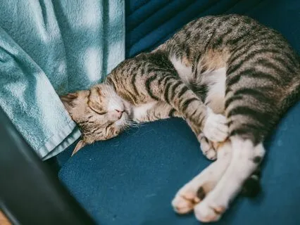 Piano Meditations V/V | Ultimate Sleep Serenity & Relaxation