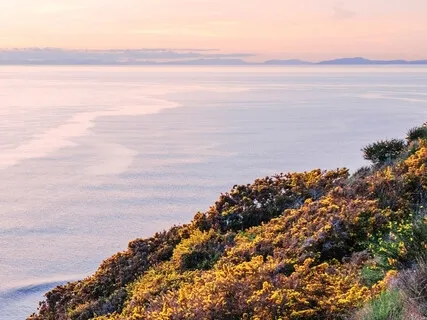 Piano Miracle Of Life