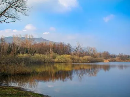 Piano Moments In Nature - Sacred Stillness By The Lakeshore