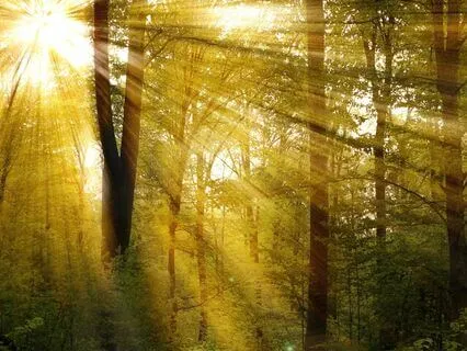 Piano Music: Just Being Here