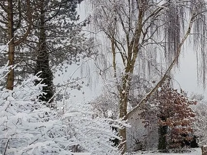 Piano Music To Embrace The Winter - Brillo de Luna