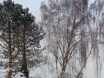 Piano Music To Embrace The Winter - Vigilia