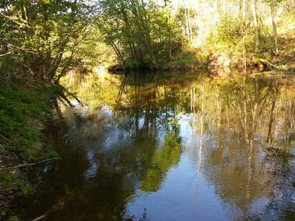 Piano Music With Love From Sweden