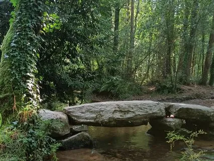 Piano For Meditation | Focus Music | Album [20 Min]