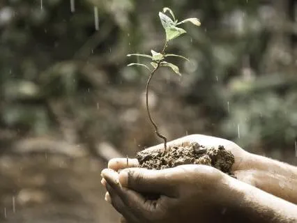 Piano & Rain (Extended Version)