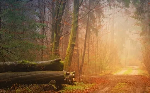 Piano - Reflections Of Light-