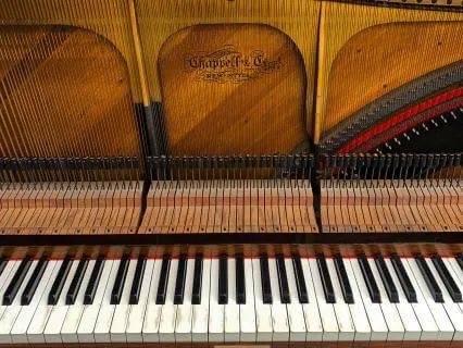 Piano Solo Live -Part I- ( shine beauty)