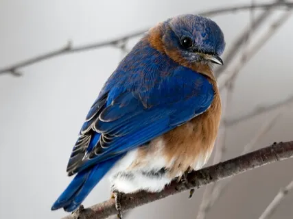 Piano: Unexpected Blessings