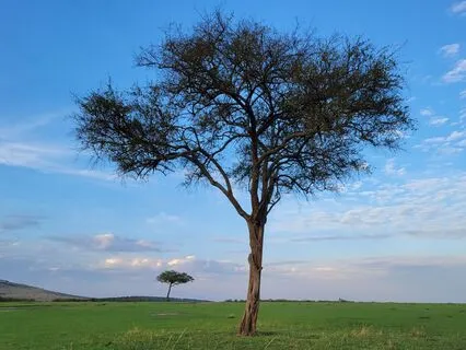 Picture Your Best Self