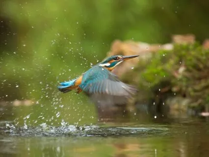 Pieces Of Morning: Raise Positive Emotion |Piano Solo Nature