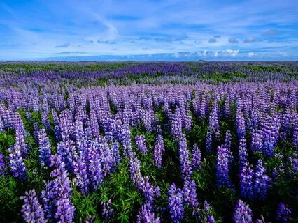 Pieces Of Nature, Releasing Repressed Emotions, Piano Solo