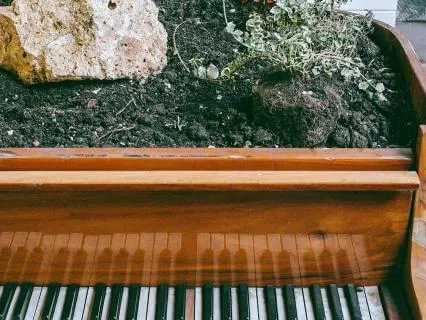 Pieces Of Nature, Stress Relief, Soothing Piano And Birds