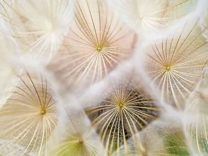 Перестать Бояться Чужого Мнения