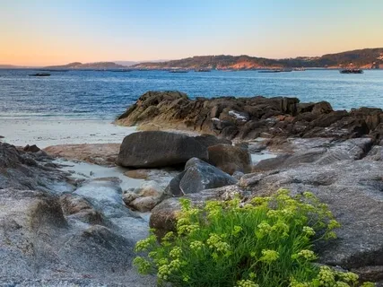 One Soul Song | Песня единой души