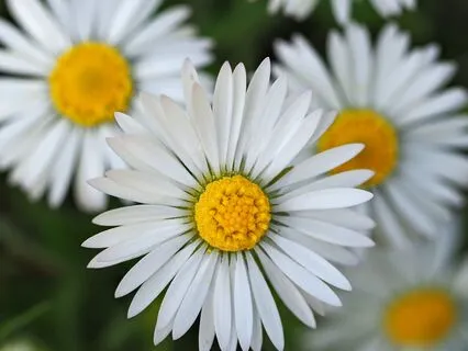 Pillar Of Light Meditation