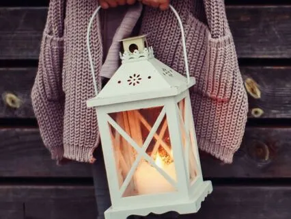 Pine Trees & Snowflakes In The Forest