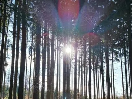 Pineal Gland Awakening | Fibonacci Golden PHI Isochronic