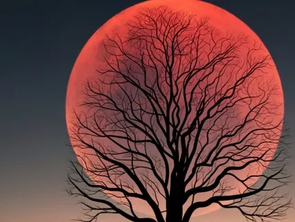 Pink Full Moon Affirmation Meditation