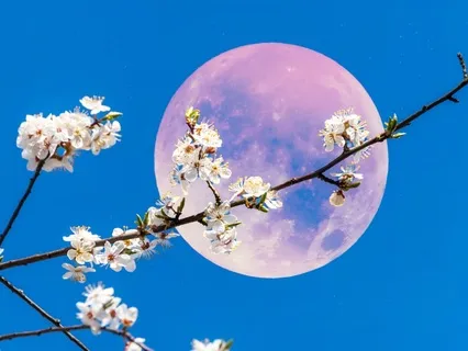 Pink Full Moon Yoga Nidra: Transform & Expand