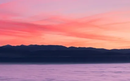 Pink Light Reiki Healing For Pets