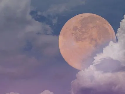 Pink Moon Lullabye