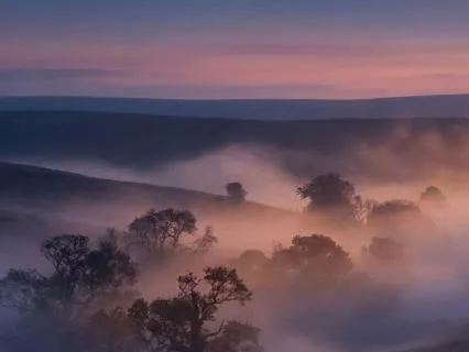 Pink Noise and Wind for Calm Sleep