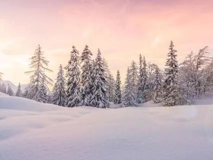 Pink Noise + Delta Brainwave Sync (128 Hz Carrier)