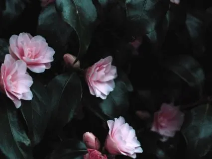 Pink Noise For Deep Sleep