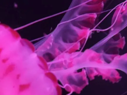 Pink Noise For Reducing Anxiety And Fall Asleep