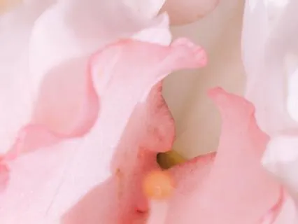 Pink Noise for Relaxation and Sleep (120 Minutes)