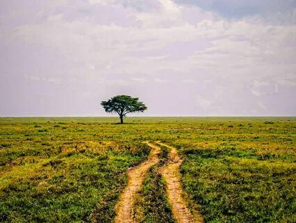 Pink Noise Meditation Sleep Healing Frequency