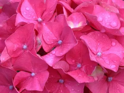 Pink Noise Rainstorm For Sleep, Study & Calm